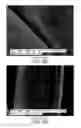 Fig. 07 - COMPOSITION AND APPLICATION METHOD FOR SURFACE TREATMENT OF CARPETS