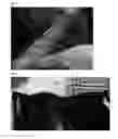 Fig. 06 - Hair Extension and Method for Making Therefor