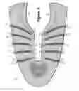 Fig. 08 - Article of footwear having an upper incorporating a knitted component