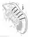 Fig. 02 - Article of footwear having an upper incorporating a knitted component
