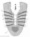 Fig. 08 - Article of footwear having an upper incorporating a knitted component