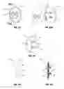 Fig. 09 - Size-adjustable fashion accessory