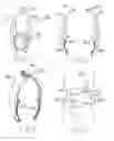 Fig. 02 - ITEM HAVING A CLASP APPARATUS TO RELEASABLY SET AT LEAST ONE INTERCHANGEABLE ORNAMENTAL OBJECT