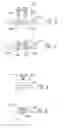 Fig. 03 - INSERTABLE ACCESSORIES FOR PROVIDING ENHANCED PERSONALIZATION OF WRIST-WEARABLE DEVICES