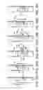 Fig. 28 - Walking stick