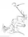 Fig. 35 - Walking stick