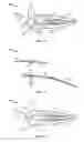 Fig. 02 - Customizable hair clip assembly