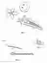 Fig. 03 - Customizable hair clip assembly