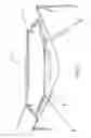 Fig. 03 - Systems, Devices, and/or Methods for Managing Hammocks