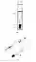 Fig. 02 - Portable interdental toothbrush