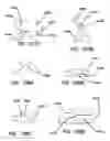 Fig. 85 - Systems and methods for tissue removal