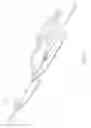 Fig. 03 - Axial lengthening thrombus capture system