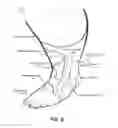 Fig. 09 - Reinforced joint support strap and method of application
