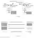 Fig. 09 - ABSORBENT ARTICLES COMPRISING SENSORS
