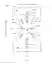 Fig. 07 - ABSORBENT ARTICLES COMPRISING SENSORS