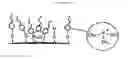 Fig. 02 - Washing composition