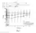 Fig. 03 - HYDROGEL COMPOSITIONS, METHODS FOR PREPARING THE SAME AND USES THEREOF