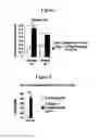 Fig. 02 - METHOD FOR AVOIDING OR INHIBITION OF DYSKINESIA