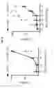 Fig. 09 - Targeting Cyb5R3