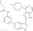 Fig. 232 - 3-(1H-imidazo[4,5-C]pyridin-2-yl)-1H-pyrazolo[3,4-B]pyridine and therapeutic uses thereof
