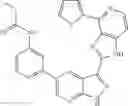 Fig. 294 - 3-(1H-imidazo[4,5-C]pyridin-2-yl)-1H-pyrazolo[3,4-B]pyridine and therapeutic uses thereof