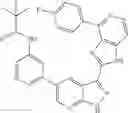 Fig. 41 - 3-(1H-imidazo[4,5-C]pyridin-2-yl)-1H-pyrazolo[3,4-B]pyridine and therapeutic uses thereof