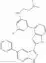 Fig. 449 - 3-(1H-imidazo[4,5-C]pyridin-2-yl)-1H-pyrazolo[3,4-B]pyridine and therapeutic uses thereof