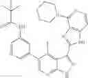 Fig. 613 - 3-(1H-imidazo[4,5-C]pyridin-2-yl)-1H-pyrazolo[3,4-B]pyridine and therapeutic uses thereof