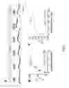 Fig. 03 - Methods and compositions for treating pain