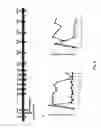 Fig. 09 - Methods and compositions for treating pain