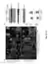 Fig. 03 - Ionic cocrystal of lithium, lispro, for the treatment of fragile X syndrome