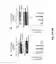 Fig. 05 - Ionic cocrystal of lithium, lispro, for the treatment of fragile X syndrome