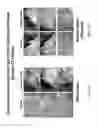 Fig. 23 - Use of nitrite salts in treating tissue damage