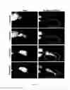 Fig. 24 - Use of nitrite salts in treating tissue damage
