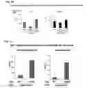 Fig. 03 - Discovery of regulatory T cells programmed to suppress an immune response