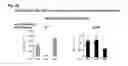Fig. 05 - Discovery of regulatory T cells programmed to suppress an immune response