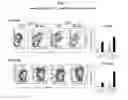Fig. 06 - Discovery of regulatory T cells programmed to suppress an immune response