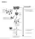 Fig. 06 - Administration of Engineered T Cells for Treatment of Cancers in the Central Nervous System
