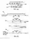 Fig. 03 - COMPOSITIONS, METHODS, AND COMPUTER SYSTEMS RELATED TO MAKING AND ADMINISTERING MODIFIED T CELLS