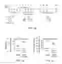 Fig. 07 - Engraftment of stem cells with a combination of an agent that targets stem cells and modulation of immunoregulatory signaling
