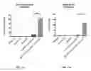 Fig. 15 - Engraftment of stem cells with a combination of an agent that targets stem cells and modulation of immunoregulatory signaling