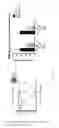 Fig. 19 - Engraftment of stem cells with a combination of an agent that targets stem cells and modulation of immunoregulatory signaling