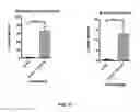 Fig. 22 - Engraftment of stem cells with a combination of an agent that targets stem cells and modulation of immunoregulatory signaling