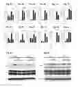 Fig. 04 - Method for protecting liver and a liver protecting agent