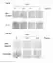 Fig. 06 - Method for protecting liver and a liver protecting agent