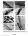 Fig. 05 - Materials and methods for improving immune responses and skin and/or mucosal barrier functions