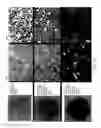 Fig. 11 - Materials and methods for improving immune responses and skin and/or mucosal barrier functions