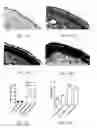 Fig. 13 - Materials and methods for improving immune responses and skin and/or mucosal barrier functions