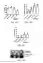 Fig. 15 - Materials and methods for improving immune responses and skin and/or mucosal barrier functions
