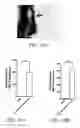 Fig. 16 - Materials and methods for improving immune responses and skin and/or mucosal barrier functions